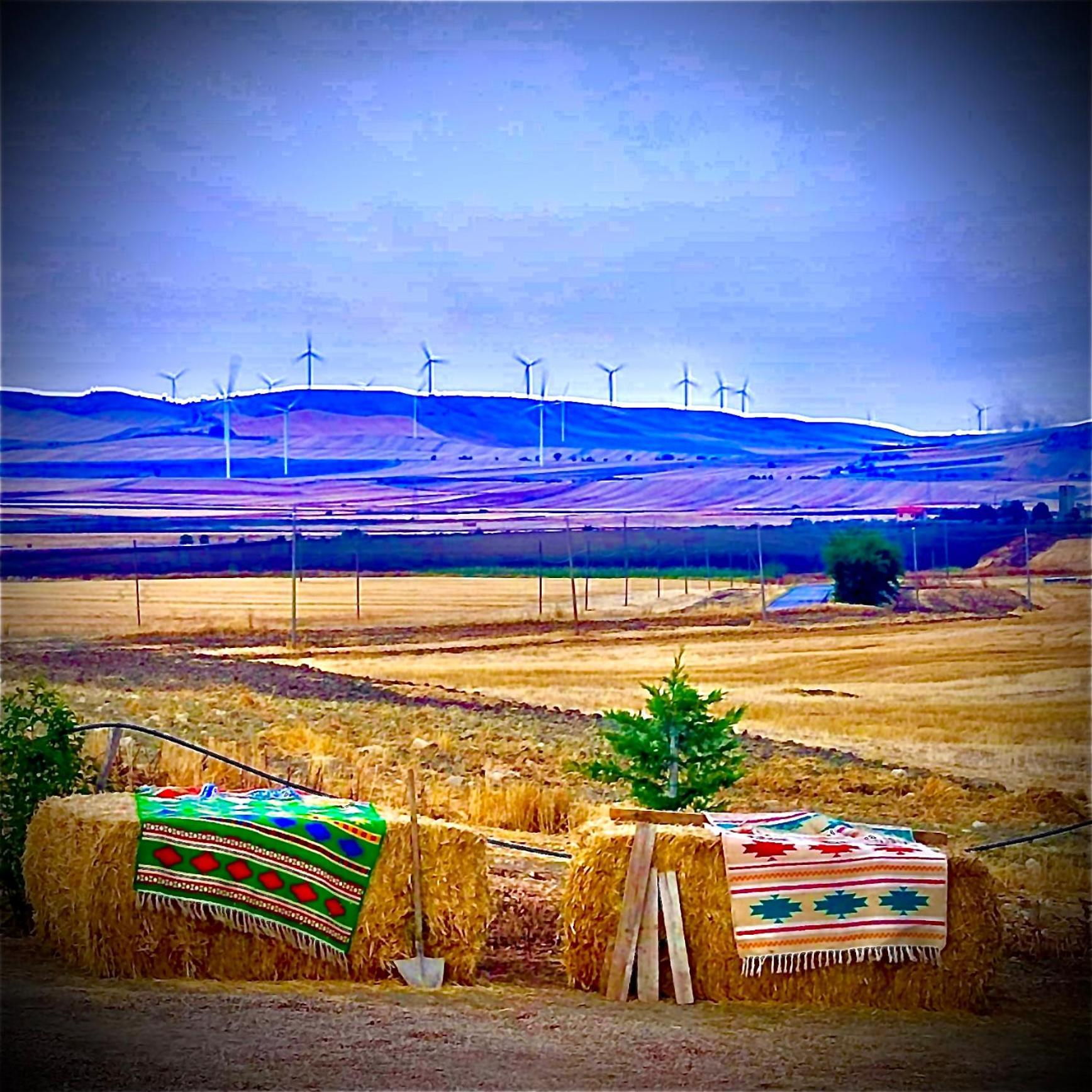 Antica Masseria Il Casone Candela Exteriér fotografie